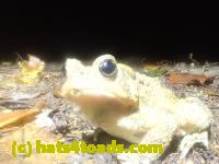 /home//u458753944/public_html/sourcegallery//McKaig Nature Center/2024-09-27/P9271611.JPG